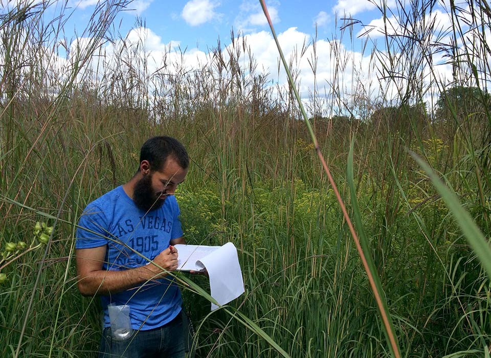 EMU professor Emily Grman's research focuses on prairie restoration and plant biodiversity 