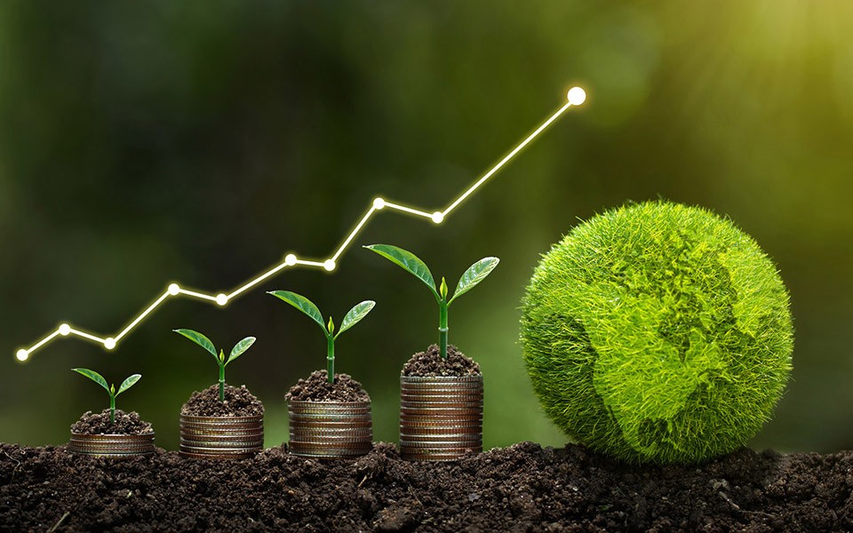 Photo illustration of green grassy globe on soil and plants growing on stacked coins