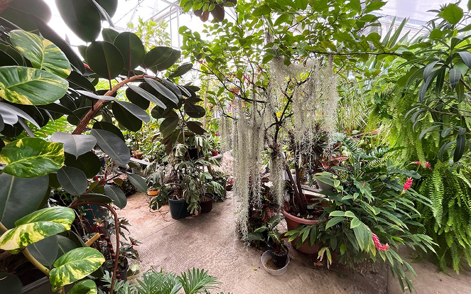 Interior view of EMU Greenhouse