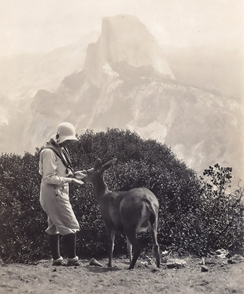 Meta Hellwig with a deer at Half Dome.