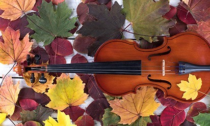 A violin on a background of autumnal-colored leaves