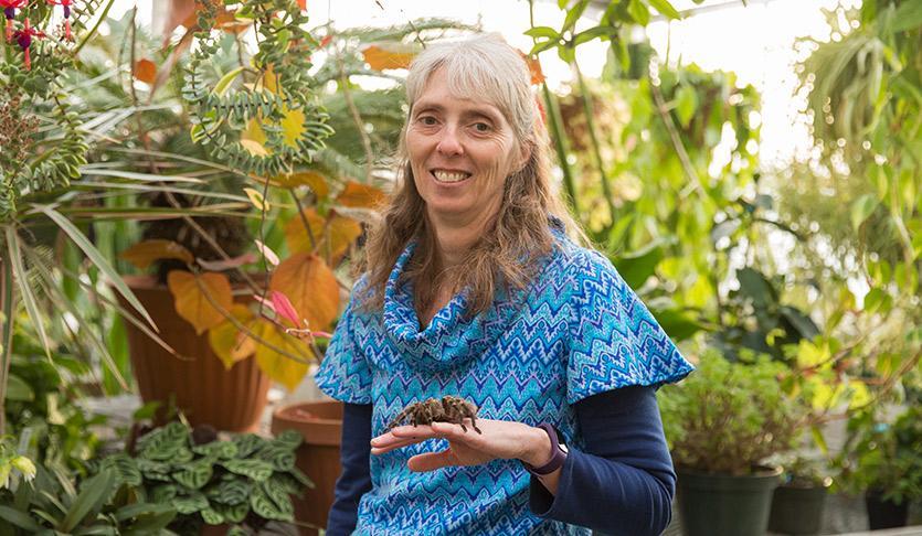 Cara Shillington holds a tarantula on her hand in the greenhouse.