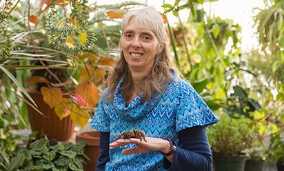 Cara Shillington holds a tarantula on her hand in the greenhouse.