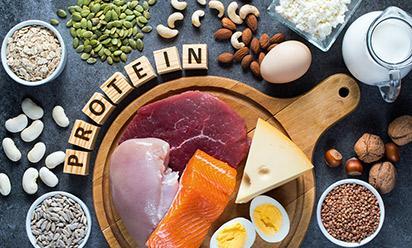 Various sources of dietary protein