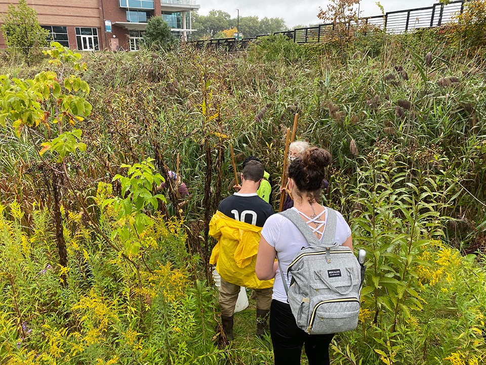 Students in Professor Shillington's biology class collect specimens in the marsh outside of the Student Center.