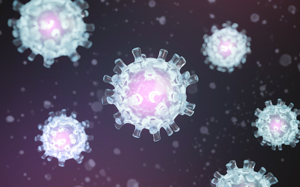 Illustration of a microscopic view of the virus.
