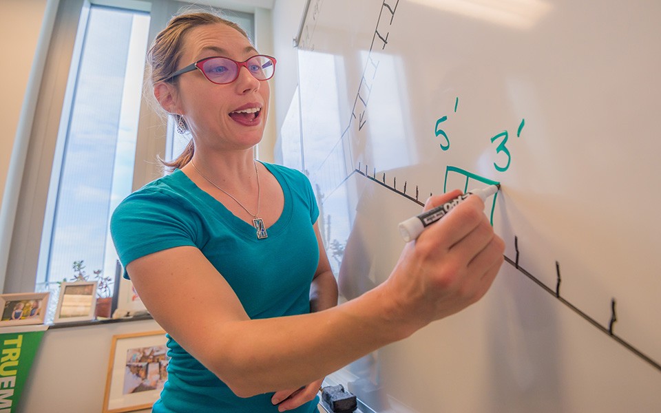 Biology professor Anne Casper writes on a whiteboard