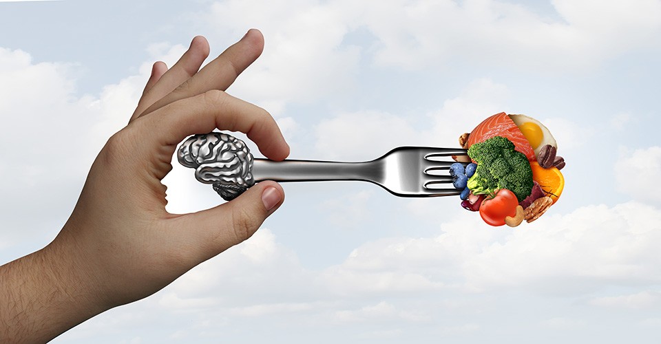 Concept illustration of a hand holding a fork full of foods, symbolizing the connection between taste signals and the brain