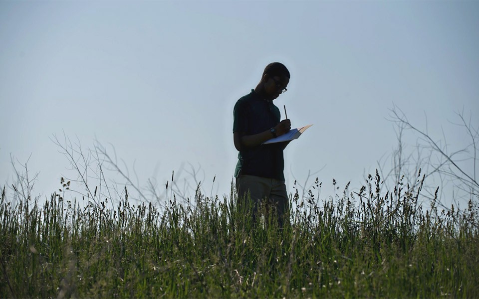 The silhouette of a student writing in a notebook surrounded by tall grasses.