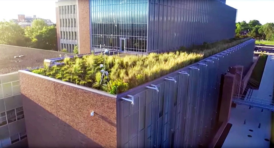 The green roof at Mark Jefferson Science as seen by a drone camera.