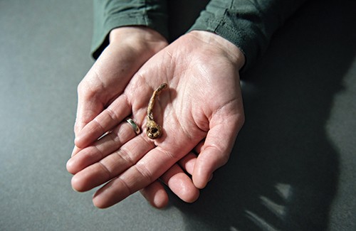 Moore's hands hold a cast of Casimir Pulaski's finger bone.