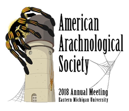American Arachnological Society Ypsi logo