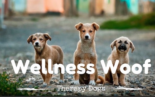 exposure therapy for dogs