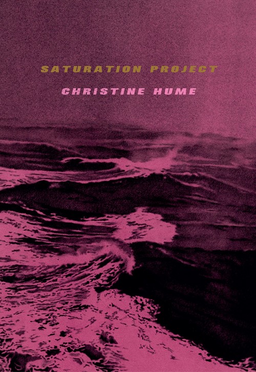 "Saturation Project" book cover